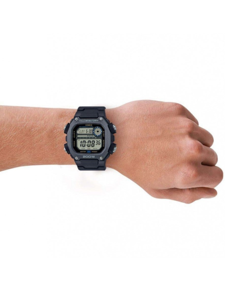 Casio Resin DW-291H-1AVDF