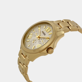 FOSSIL LADIES WATCH AM4510 2