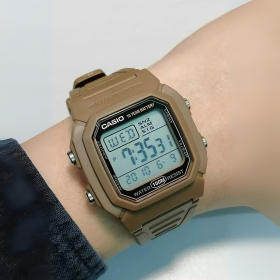 Casio Resin W-800H-5AVDF 2