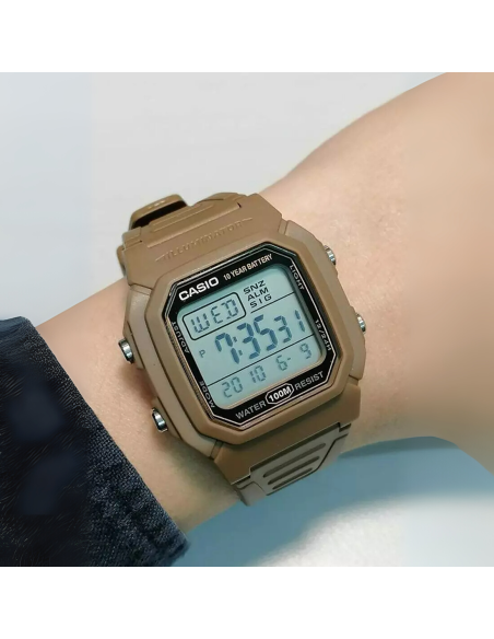 Casio Resin W-800H-5AVDF