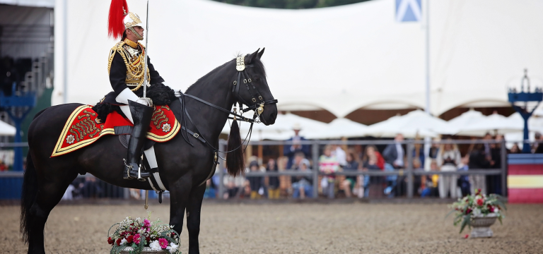 Keep your equestrian surface perfect, even in the rain!